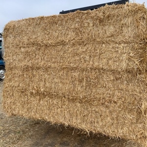 400mt Barley Straw 8x4x3 Bales (Header Tails)