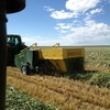 Haymax super conditioner