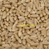 250mt H2 Wheat