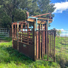 Warwick Cattle Crush