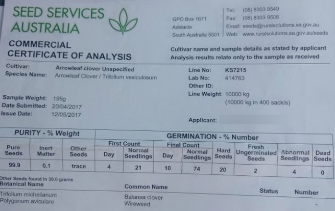 10mt Arrow Clover Seed