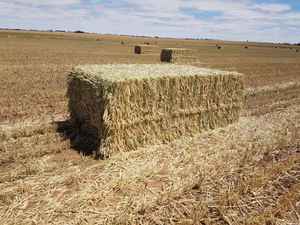 New Season Wheaten Hay 640Kg's 8x4x3 Bales