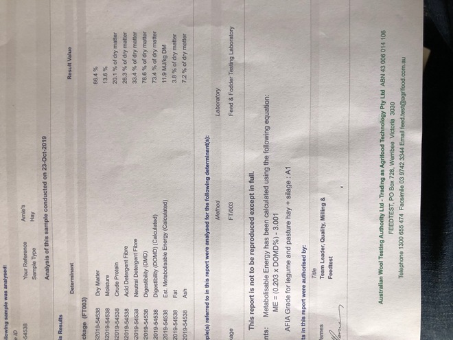 200 m/t A1 Vetch Hay 8x4x3 Bales Seller to Freight