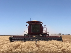 2002 Case 2388 Header with 1010 30ft Front