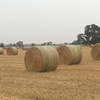 180 x Oaten/Rye 5x4 Rolls