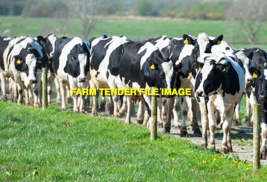 WANTED Dairy Farm For Lease 