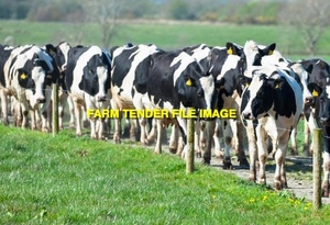 WANTED Dairy Farm For Lease 
