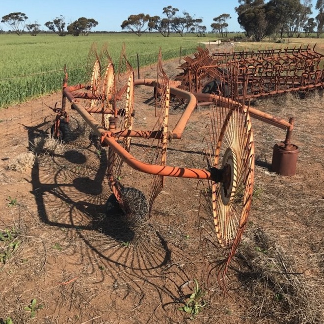 Lely 5 Wheel Hay Rake