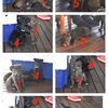 5 Female Kelpie Working Dog Pups