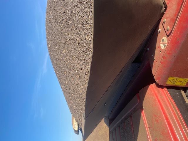 100mt Graded Vetch Seed