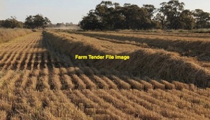 Rice Straw  1 x Roadtrain
