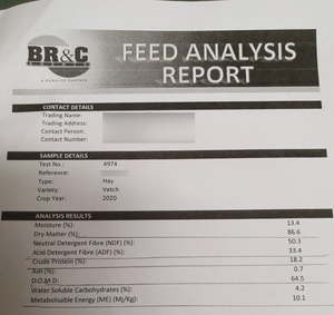 100mt Vetch Hay 650kg 8x4x3 Bales (New Season)