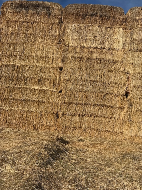 70mt Wheaten Straw 500kg 8x4x3 Bales
