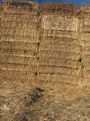 70mt Wheaten Straw 500kg 8x4x3 Bales