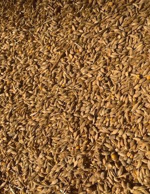 Gilded River Lamb Finisher 16%