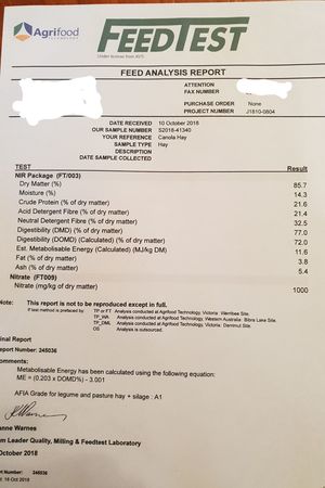 40mt Canola Hay 8x4x3 Approx 600-650kg Bales. (1 x B Double)