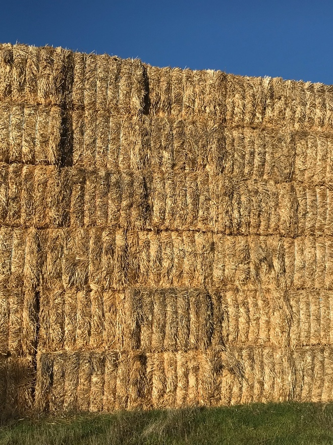 160mt Wheaten Straw 400-420kg 8x4x3 Bales + Freight