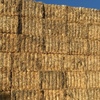 160mt Wheaten Straw 400-420kg 8x4x3 Bales + Freight