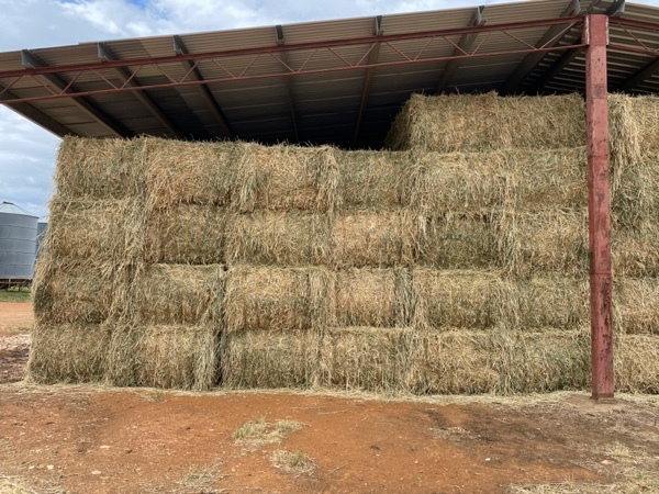 Barley and Lucerne Hay