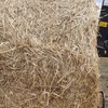 100 x Wheaten Straw 5x4 Rolls (Straw Walker Header Trails)