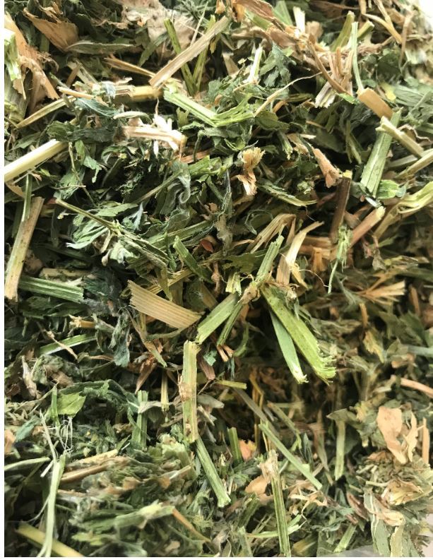 1st Cut Lucerne Big Squares