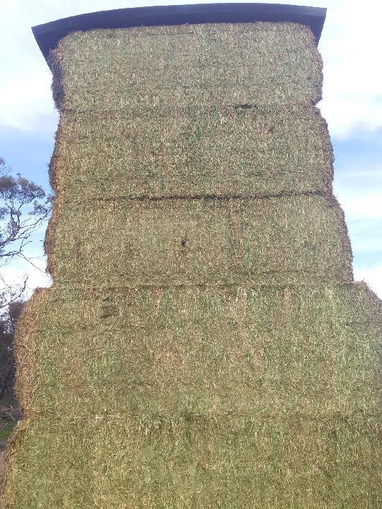 160mt Vetch Hay 650kg 8x4x3 Bales