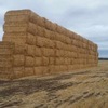 Under Auction - Header Trailed Oaten Straw 100 - 8x4x3 bales 550kg + - Sold By The Ton -