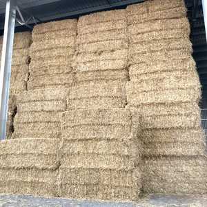 200mt Barley Straw 8x4x3 Bales