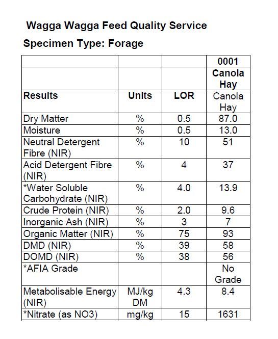 Canola Hay, 8x4x3 bales, 260t Approx