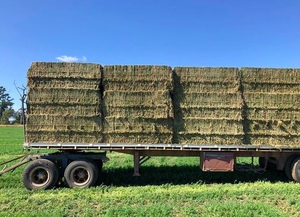 Lucerne Hay 8x4x3 - Canowindra NSW