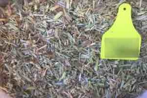 250 m/t of Awnless Wheaten Hay 8x4x3 Bales Seller to Freight