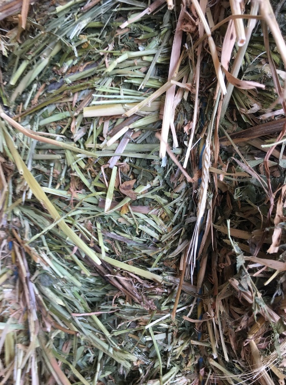 100mt Barley/Vetch Hay 8x4x3 Bales