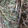 100mt Barley/Vetch Hay 8x4x3 Bales