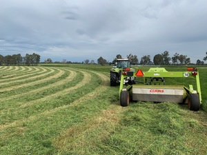 silage - Rye - Clover