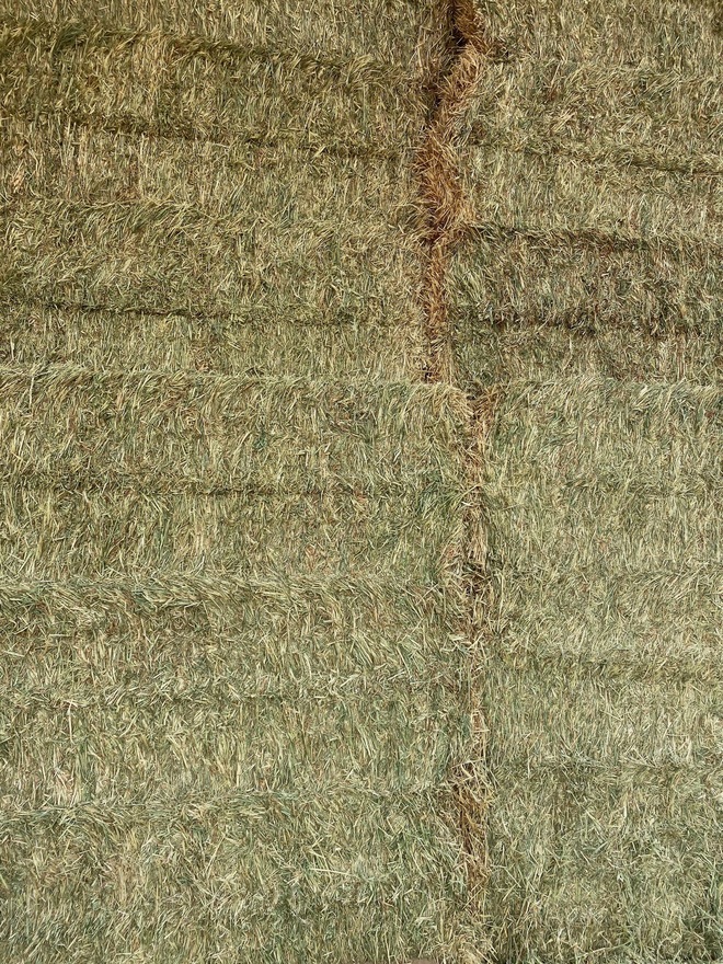 100 m/t Wheaten Hay 8x4x3 Bales Delivered Only