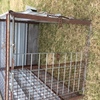 (A129) - Calf Crate 5 Ft 6 inches x 4 Ft