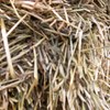 8x4x3 Barley Hay