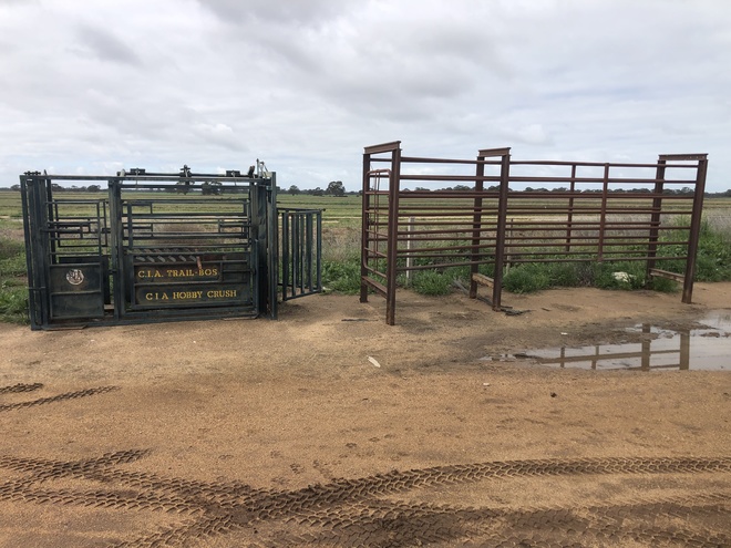 Under Auction - CIA Cattle Crush and Lead up Race - 2% + GST Buyers Premium On All Lots 