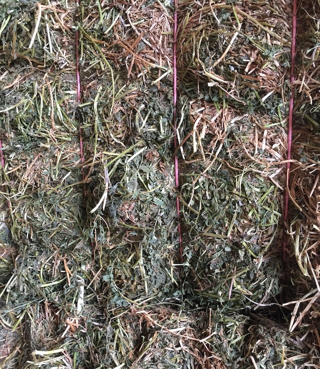 A1 test Vetch Hay 700 kg 8x4x3