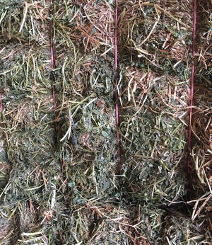 A1 test Vetch Hay 700 kg 8x4x3