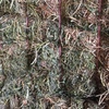 A1 test Vetch Hay 700 kg 8x4x3