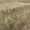 500mt Barley & Ryegrass Pasture Hay 650kg 8x4x3 Bales ex paddock