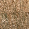 8x4x3 Bales Canola Hay For Sale