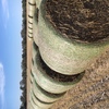 Wheaten Hay Round Bales