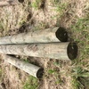 Under Auction - New Treated Pine Posts - 2% + GST Buyers Premium On All Lots 