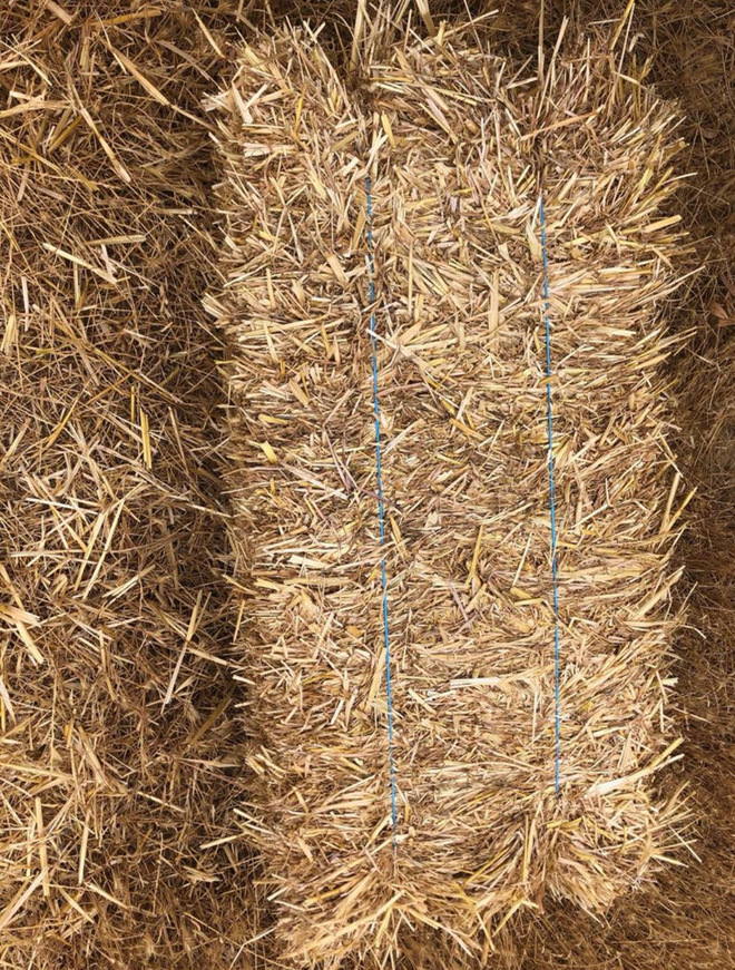 Oaten Straw  