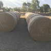 Lucerne Hay Rolls 