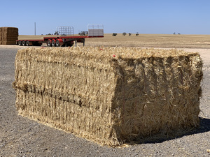 500mt + Wheaten Straw 530-580kg 8x4x3 Bales (Export quality 2019/20)