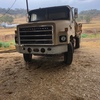 1981 international tipper with grain bin 