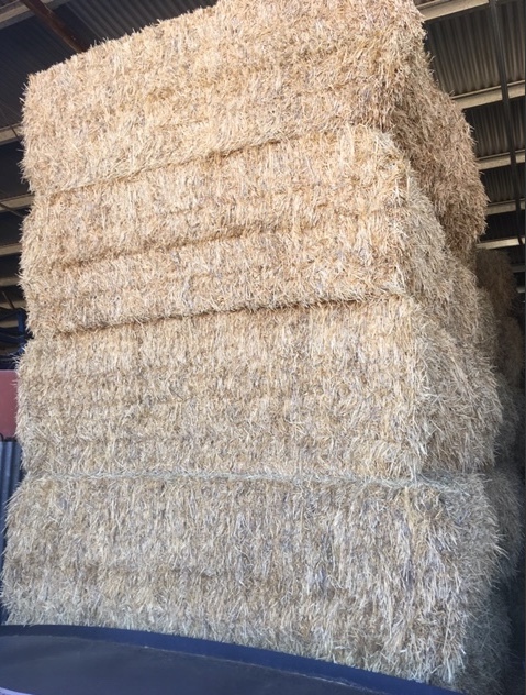 60mt Barley Hay 8x4x3 Bales + Freight